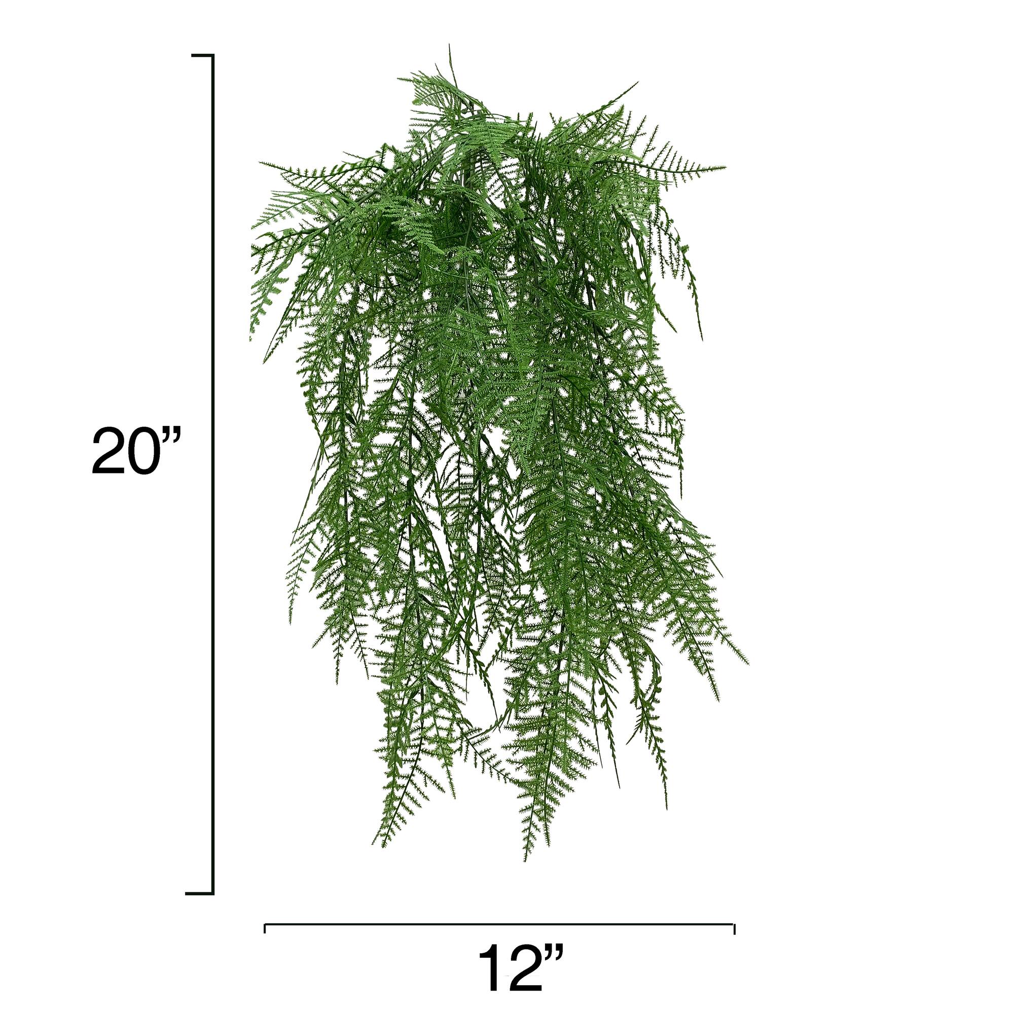 20" Green Asparagus Fern Bush by Ashland®